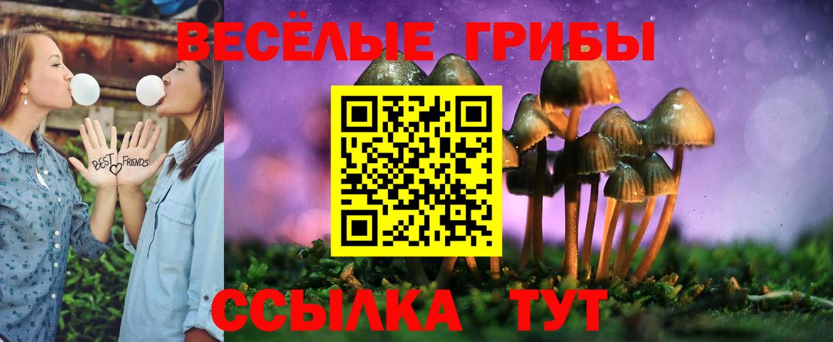 где купить наркоту  Псилоцибиновые грибы Magic Shrooms  Борзя  Вход с VPN  Псилоцибиновые грибы Psilocybine cubensis 
